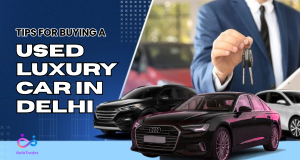 Tips for Buying a Used Luxury Car in Delhi by https://www.halotrades.com/