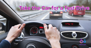 Take the Car for a Test Drive by https://www.halotrades.com/